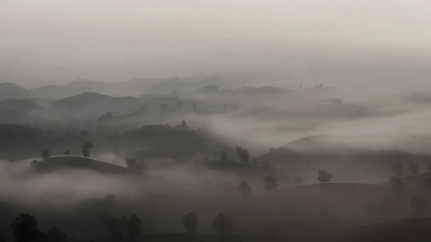 Sanfte, nahe Hügel in weichem Morgendunst